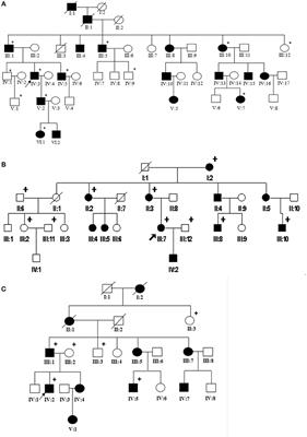 Genetic Analysis of KRT9 Gene Revealed Previously Known Mutations and Genotype-Phenotype Correlations in Epidermolytic Palmoplantar Keratoderma